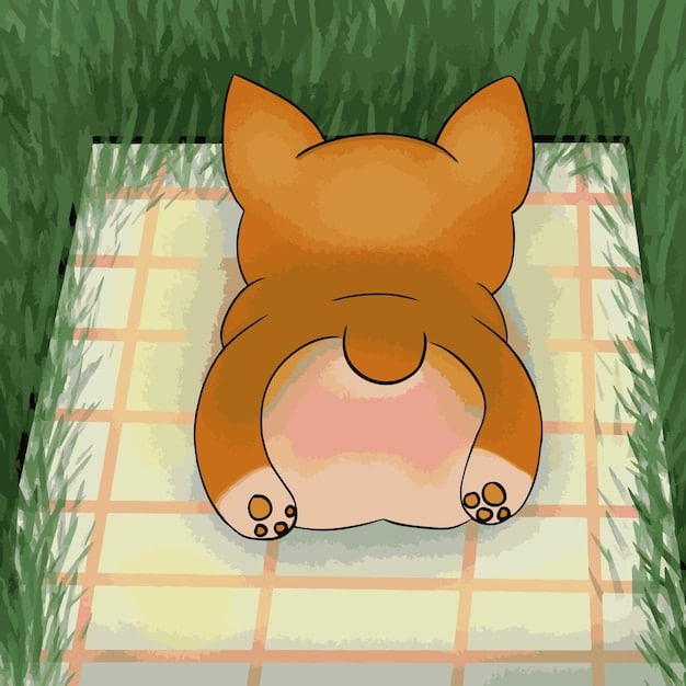 A cat kneading on a favorite blanket, showcasing its relaxed posture and focused expression as it marks its territory through scent glands in its paws.