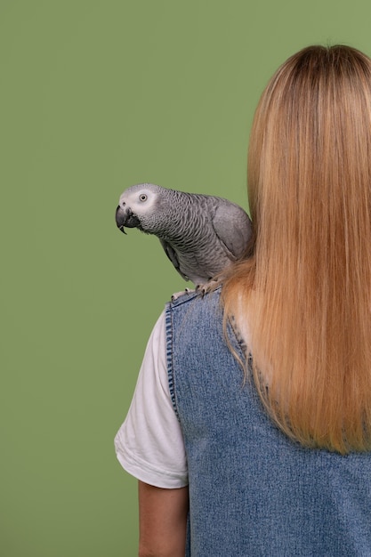 Train Your Parrot: Positive Reinforcement for Optimal Results