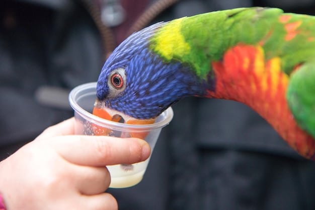 A close-up shot of a parrot receiving a small piece of fruit as a reward during a training session. The parrot's eyes are focused on the treat, and the owner's hand is gently offering it. The background is slightly blurred, emphasizing the connection between the parrot and the reward.
