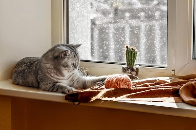 A close-up, sympathetic shot of an elderly cat with cloudy eyes, sitting on a windowsill. The cat has a slightly hunched posture and wears a reflective expression. The background is blurred, focusing attention on the cat’s face and conveying its age and vulnerability.