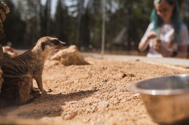 Environmental Enrichment: Impacting Animal Welfare & Quality of Life