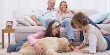 A Step-by-Step Guide: How to Introduce a New Pet to Your Existing Animals - Cover Image
