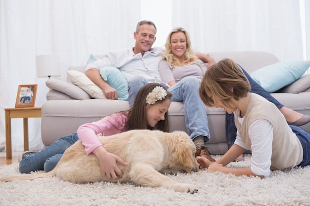 A Step-by-Step Guide: How to Introduce a New Pet to Your Existing Animals
