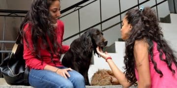 Navigating 2025: How Federal Guidelines Affect Animal Shelter Funding - Cover Image