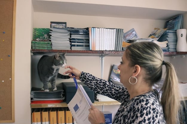 A clean and organized animal shelter office with staff members reviewing records and coordinating animal care activities, highlighting efficient management.