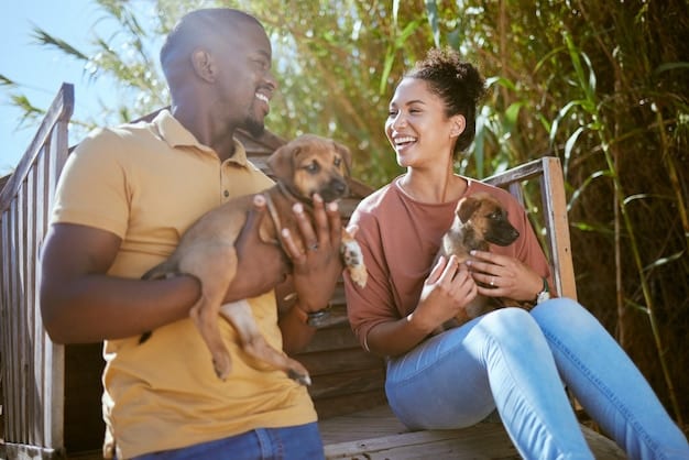 Maximizing Adoption Rates: Proven Strategies for US Shelters in 2025