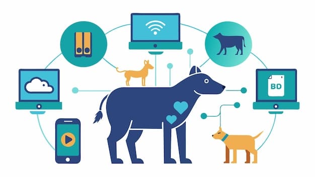 A graphic illustrating the use of data analytics in animal shelters, with charts showing adoption rates, popular breeds, and demographics of adopters. The graphic emphasizes data-driven decision making.