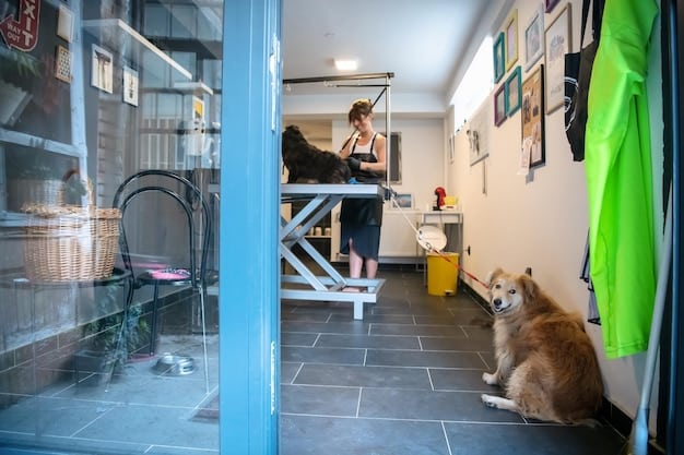 An interior shot of a local animal shelter's intake area, showing a staff member gently interacting with a newly surrendered pet while filling out paperwork on a clipboard. The area is clean but appears slightly disorganized, hinting at the potential strain the shelter is under.