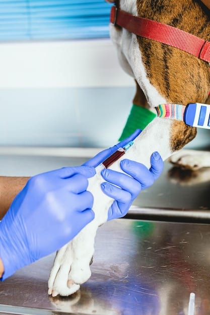 A vet in a bright, clean animal shelter medical room, giving a vaccine shot to a scared puppy. The vet appears calm, confident and professional, while the puppy is being embraced by a shelter volunteer.