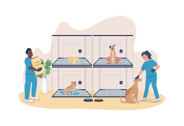 An image illustrating an animal shelter implementing preventative care measures, such as a veterinarian giving a vaccination, a staff member providing dental care, and a well-stocked medical supply room. The scene should convey proactivity and efficiency.