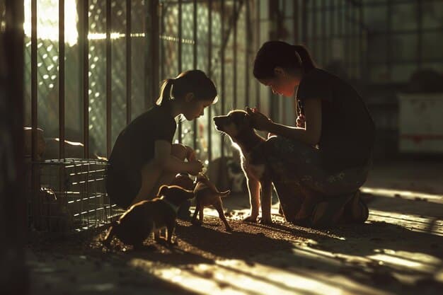 The 2025 Guide to Animal Shelter Grants: Funding for Your Programs