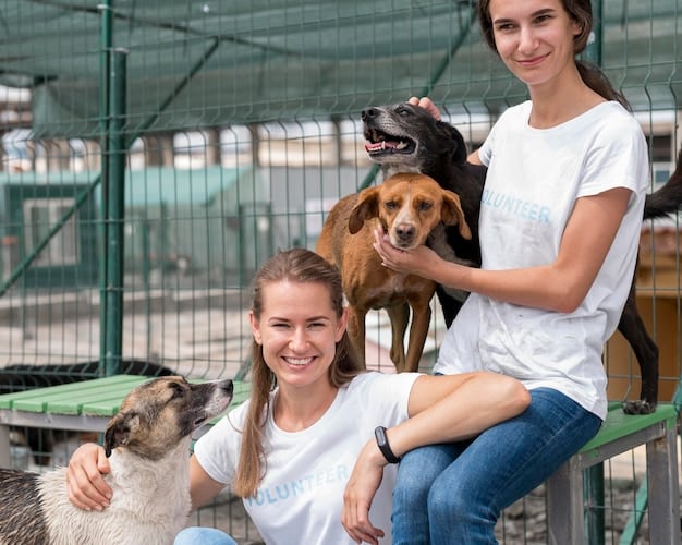 Reducing Euthanasia: Evidence-Based Practices for US Shelters by 2026