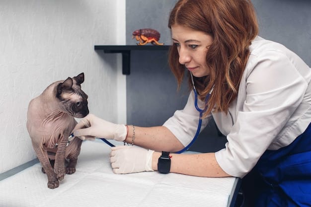 A veterinarian gently examining a rescued cat, with a caring veterinary technician assisting, in a clean, well-equipped clinic setting, emphasizing the importance of medical care in animal shelters.