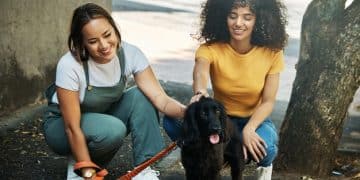 Volunteer Management: Boost Animal Shelter Engagement by 25% - Cover Image