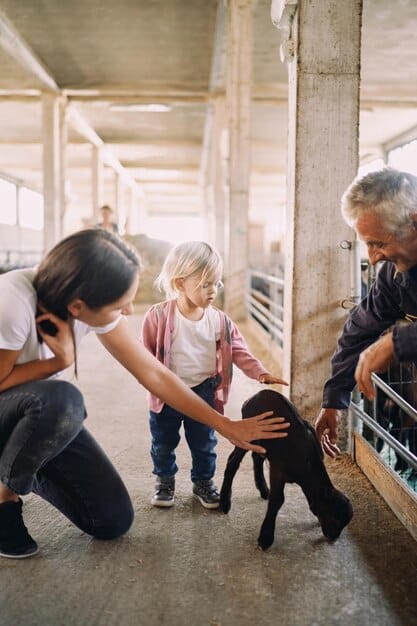 An animal shelter staff member conducting a training session for new volunteers. The staff member is demonstrating proper animal handling techniques, while the volunteers are attentively watching and listening.