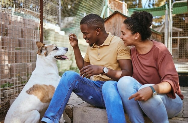 Combating Compassion Fatigue: Strategies for US Animal Shelters