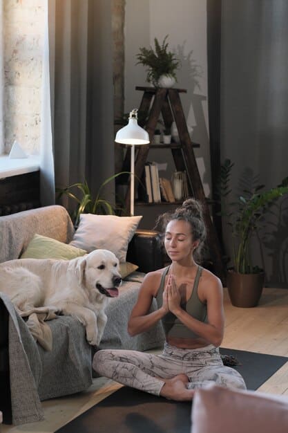 An animal shelter staff member practicing yoga during a break in a quiet, sunlit room. The person is focused and serene, demonstrating self-care and relaxation.