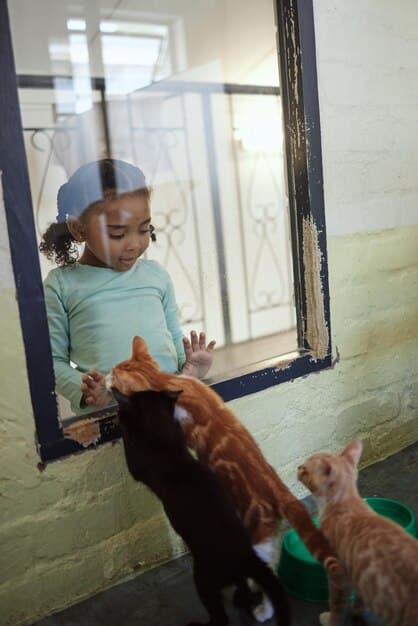 The Impact of New Programs on Local Animal Shelters