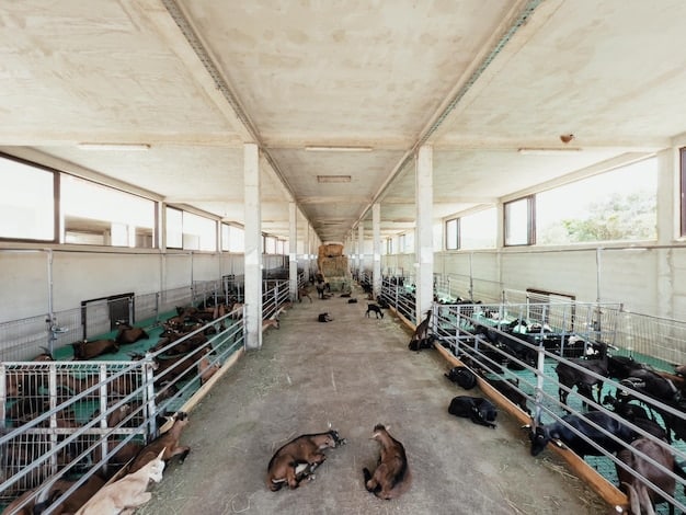 An indoor shot of a clean and well-organized animal shelter, featuring rows of spacious kennels with comfortable bedding and toys. Cats are seen lounging in sunny spots, and dogs are playfully interacting with volunteers.