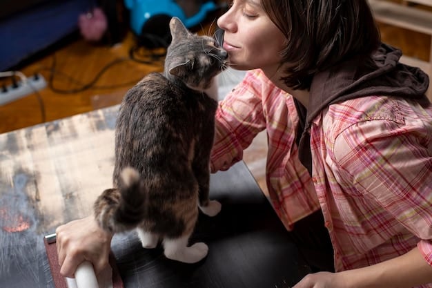 A volunteer lovingly stroking a cat at their local animal shelter.