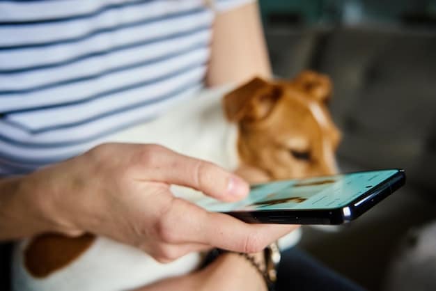 A close-up shot of a person's hands using a mobile phone to browse an animal shelter's Instagram page, with a featured post showing an adorable dog available for adoption. The focus is on the phone screen and the engagement shown in the person's hands.