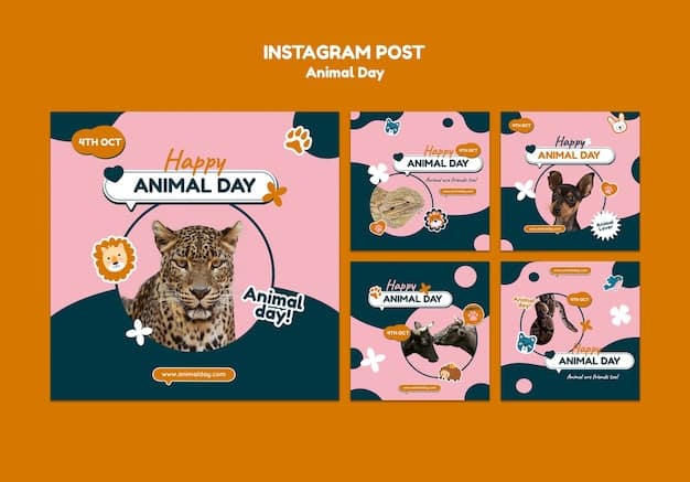 A collage of social media posts promoting animals available for adoption at a US animal shelter. The collage includes posts from Facebook, Instagram, and Twitter, showcasing different animals, adoption details, and engaging captions.