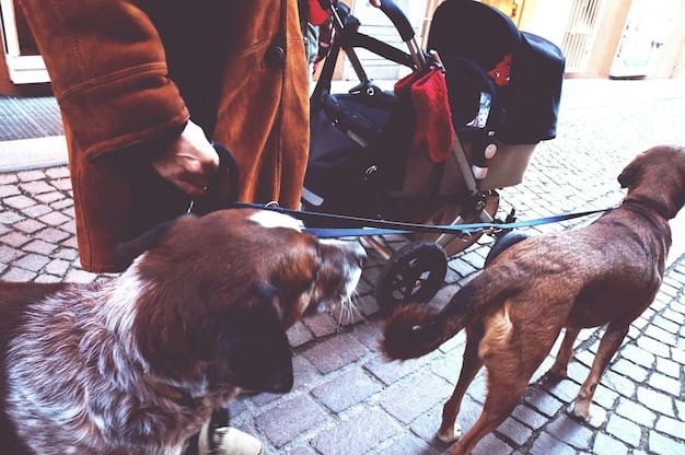 Emergency Preparedness for Animal Shelters: Protecting Pets During Natural Disasters