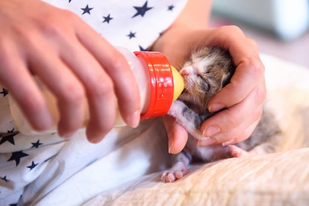 A volunteer is gently bottle-feeding a litter of tiny kittens in a cozy, brightly lit room. The kittens are nestled in a soft blanket, and the volunteer is wearing gloves, displaying a caring and sanitary environment.
