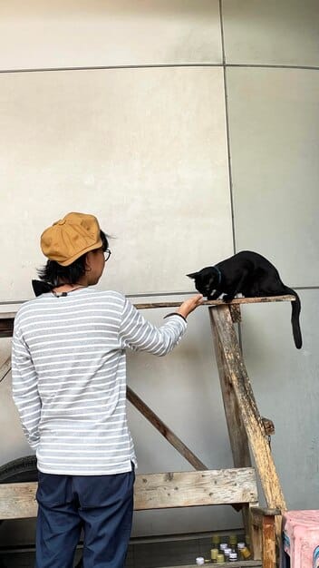 A volunteer is releasing a cat from the trap after TNR. The cat is walking out of the trap into its familiar environment. The volunteer is watching the cat and there are buildings in the background.