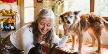 Building Community Partnerships: How to Support Your Animal Shelter - Cover Image