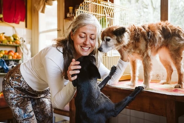 Effective Fundraising for Animal Shelters: Raise $10,000 More This Year