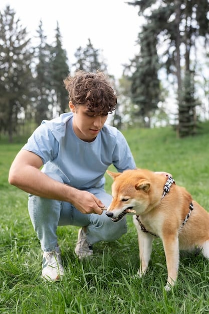 A volunteer carefully and gently handling a scared or anxious dog at the shelter, using a calm voice and slow movements. The dog is wearing a harness and leash.