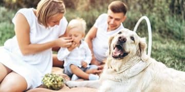 Adoption Counseling Best Practices: Matching Pets with Families in 2025 - Cover Image