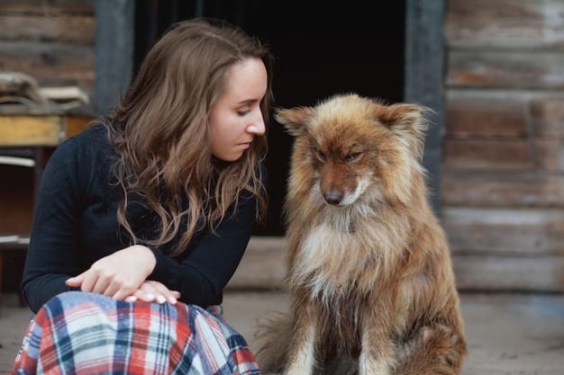2025 US Tax Law Changes: Maximizing Animal Rescue Donations