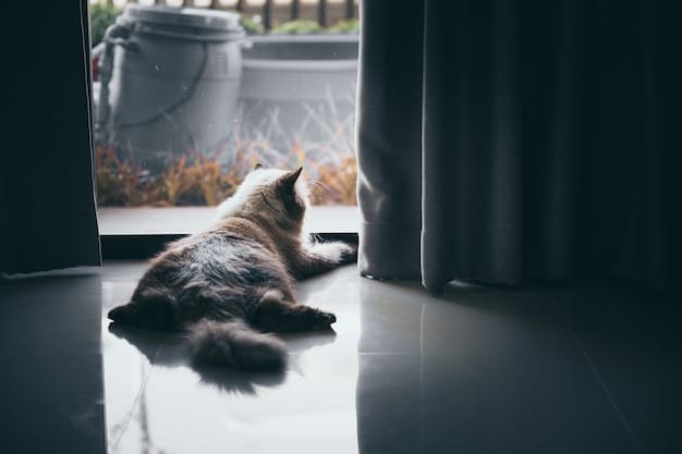 A fluffy cat curled up on a sofa, looking somber, with a window showing a dreary, rainy day in the background, subtly suggesting low mood.