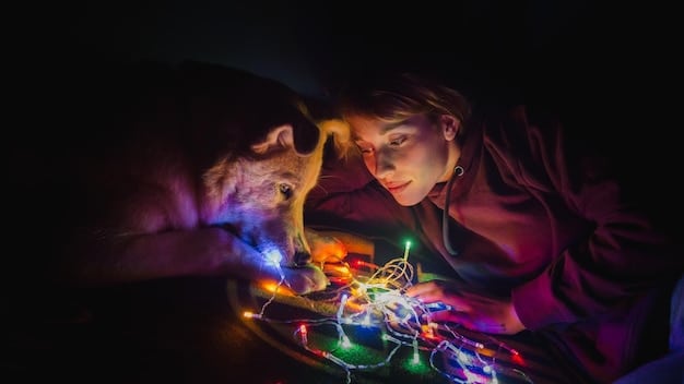 A person playing indoors with a lively dog using a laser pointer, showing the dog happily chasing the light, conveying active engagement.