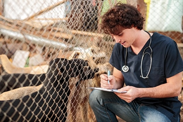 An animal shelter staff member reviewing a complex emergency preparedness plan flowchart on a computer, surrounded by rescue equipment.