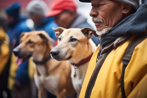 A group of diverse volunteers in bright vests actively participating in an animal evacuation drill, safely moving carriers with dogs and cats.